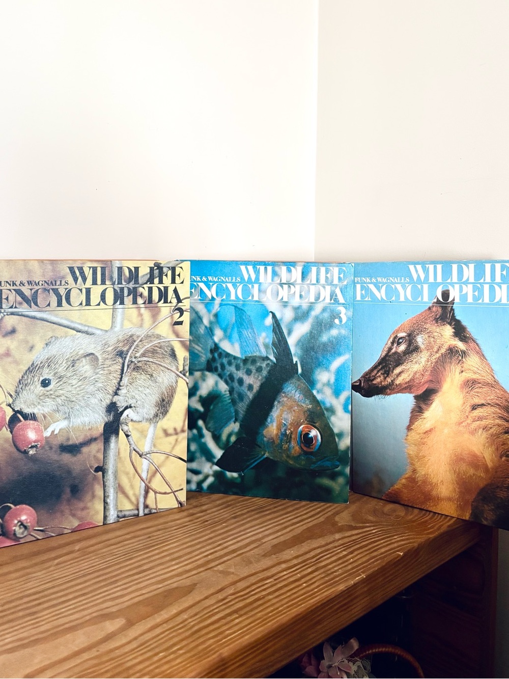 VTG 1974 Funk & Wagnalls Wildlife Encyclopedia: Volumes 2, 3 & 4